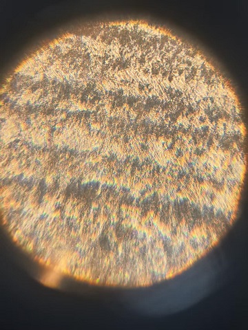 网状结构.jpg